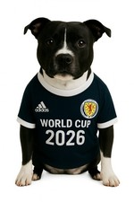 A3 Large Scottish World Cup