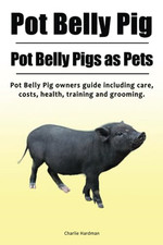 Pot Belly Pig. Pot Belly Pigs