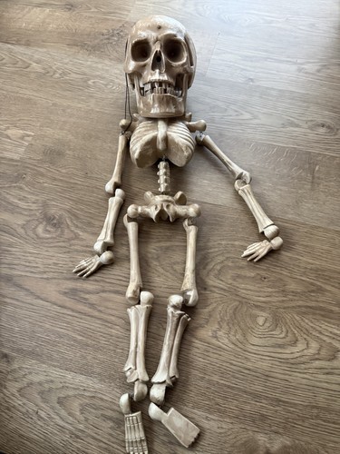 Halloween hanging skellington - halloween,