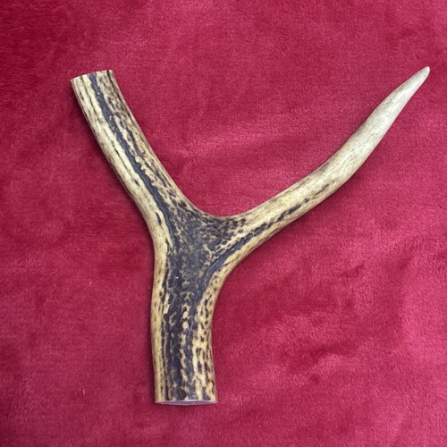 One piece deer antler y - of,
