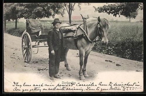 Postcard skydsgutten boy with - postcard, skydsgutten,