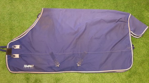 5ft9 shires equestrian - equestrian, tempest