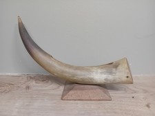 Vintage bull horn - vintage,