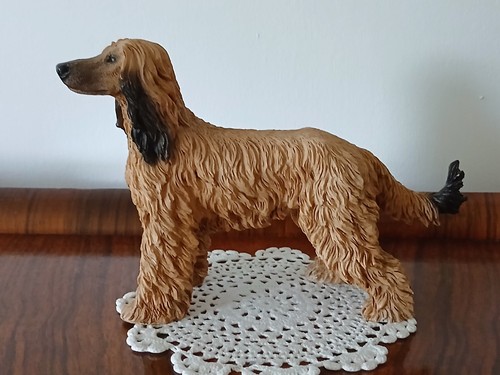 Original castagna afghan hound - castagna,