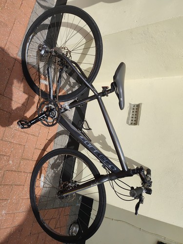 Carrera gryphon flat bar - carrera, flat-bar