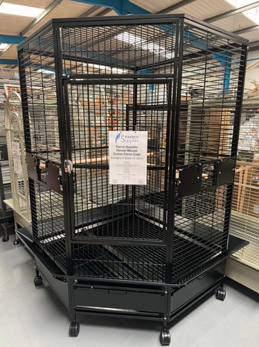 Parrot supplies denver - parrot-supplies, xl