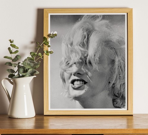 Marilyn monroe professional - monroe, :