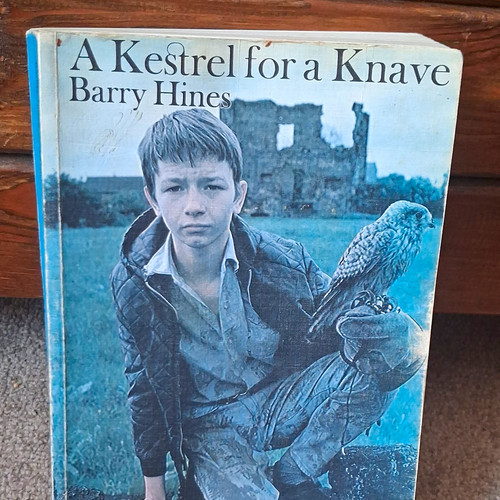 Kestrel for knave barry - a,