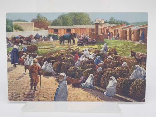 Tangier morocco fire wood - tangier,