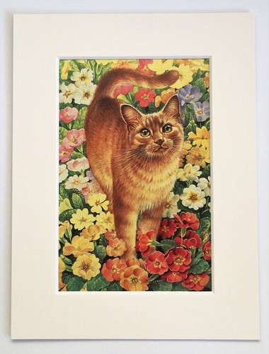 Lesley anne ivory cat small - lesley,