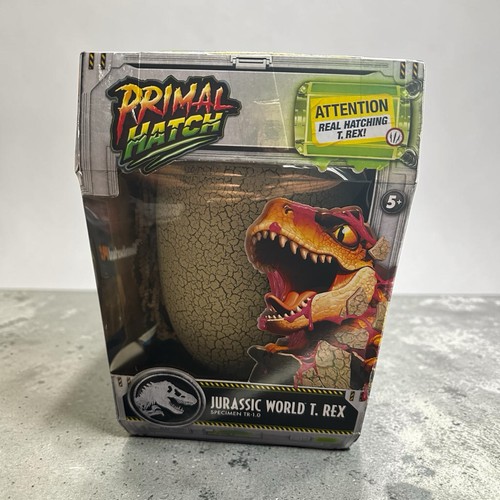 New interactive rex - interactive,