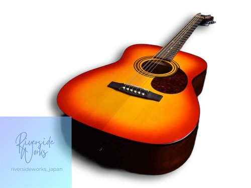 Cort earth acoustic - cort,