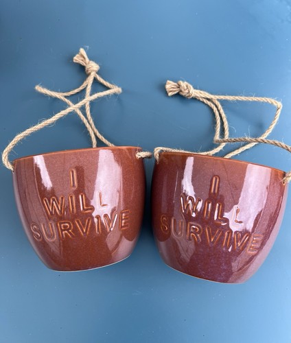 Terracotta glazed hanging - glazed,