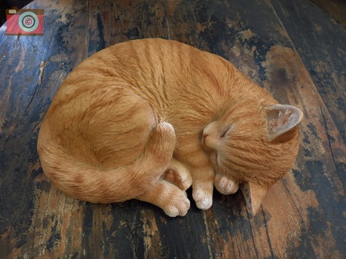 Sleeping ginger cat vivid - by,