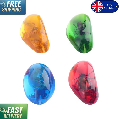 4pcs elegant amber insect - elegant,