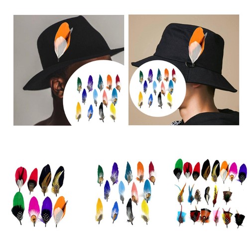 Hat feathers for fedora - feathers,