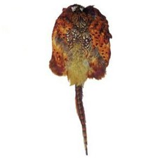 Bisley pheasant skin - bisley,