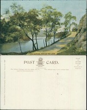 Loch Katrine Path By The Loch