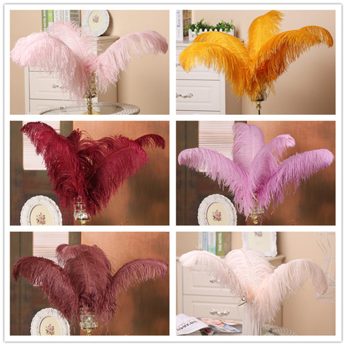 Quality ostrich feathers - quality,