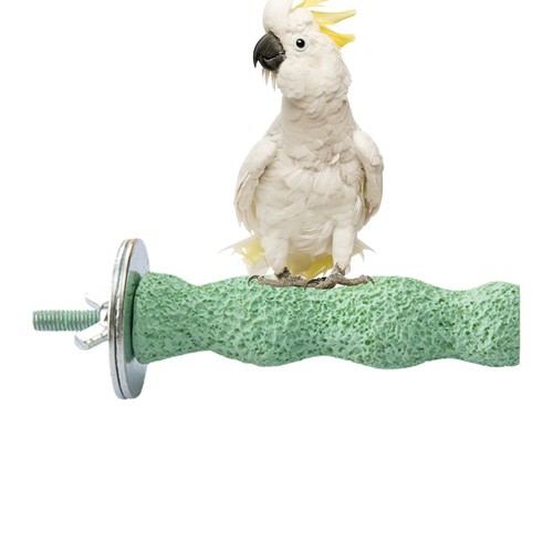 Parrot stick stand bird - stand,