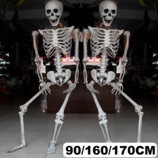 40-170cm Poseable Skeleton Full Life Size Human Skeleton Halloween Decoration