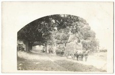 Horse Drawn Farm Wagons Hauling Hay ~ Cyko RPPC Real Photo Postcard c.1910