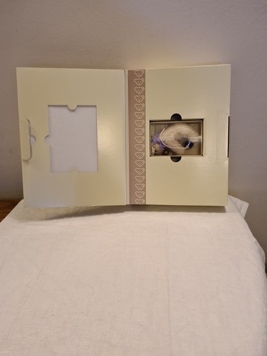 Steiff club miniature polar - ,
