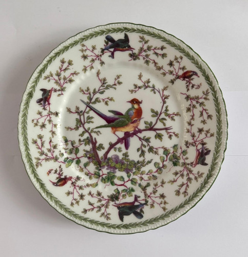 Victoria austria bird - bird, of