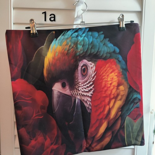 Parrot bird vibrant peachy