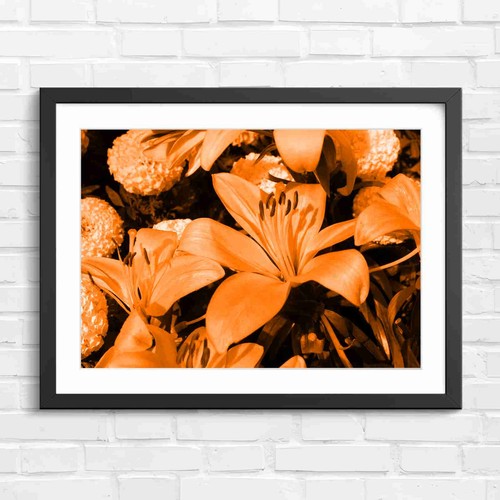 Vibrant orange lilies with - vibrant,