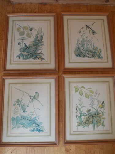 Marjorie blamey signed - marjorie,