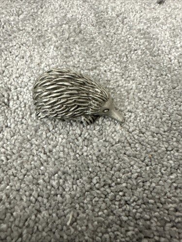 Kirra australian echidna - kirra,