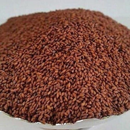 Halon halim rashad seeds - halim,