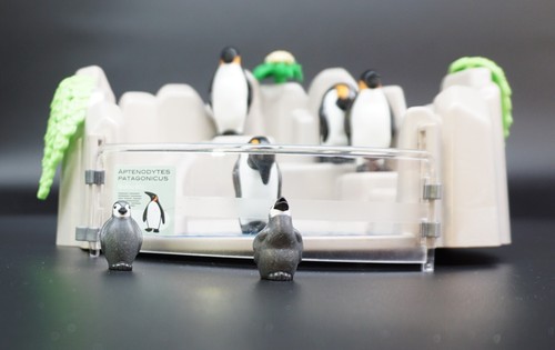 Playmobil zoo penguins pool - playmobil,