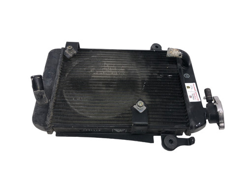 Water radiator honda 300 i - water, sh