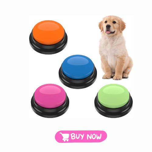 Dog button talk - talk, training
