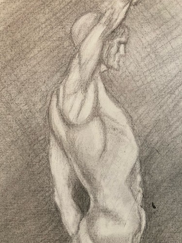 Hand drawn anatomy - anatomy, pencil