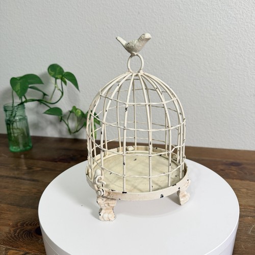 Metal decorative birdcage with - metal,