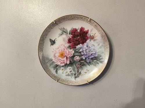 Peony prelude lena - lena, liu