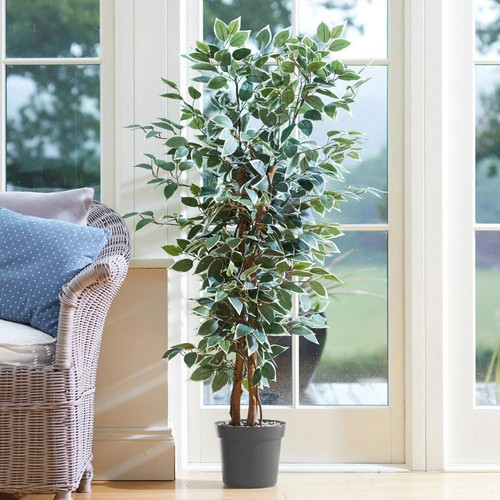 Faux fake weeping fig - fake,