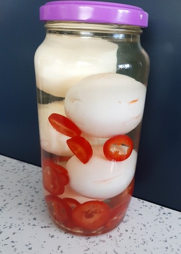 Pickled eggs deli homemade - pickled,
