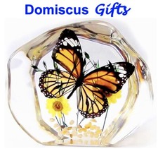 4 1/2" New MONARCH BUTTERFLY