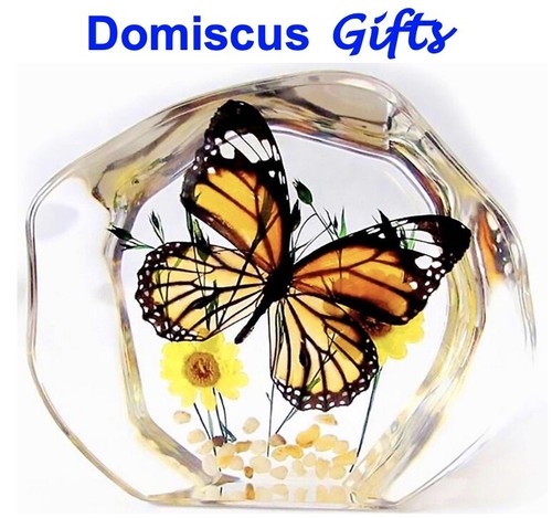 New monarch butterfly - 1/2",