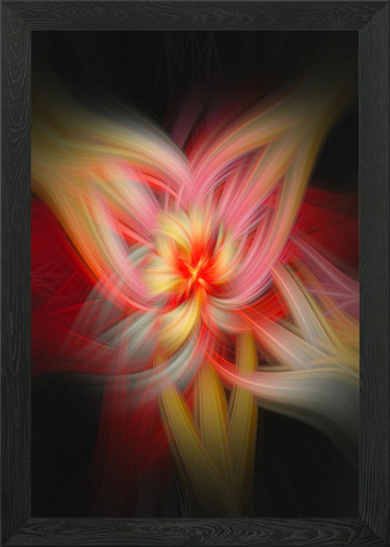 Twirl photography framed wall - twirl,
