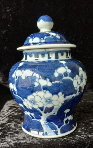 Antique chinese prunus - antique,
