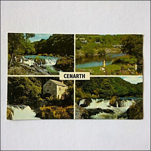Cenarth waterfalls river teifi - cenarth,
