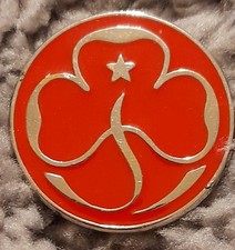 Girl Guides rangers promise