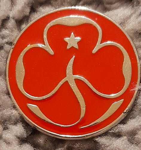 Girl guides rangers - girl,