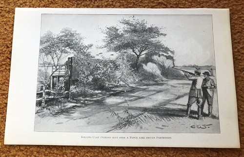1896 small print modern - -,