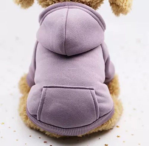 Cute dog puppy pet cat - cute, purple